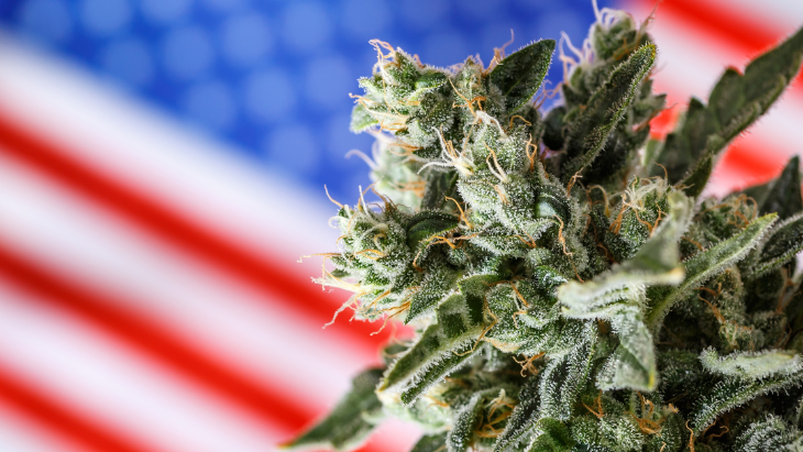 us flag cannabis